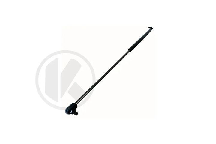 a0009808164   bonnet shock   spring