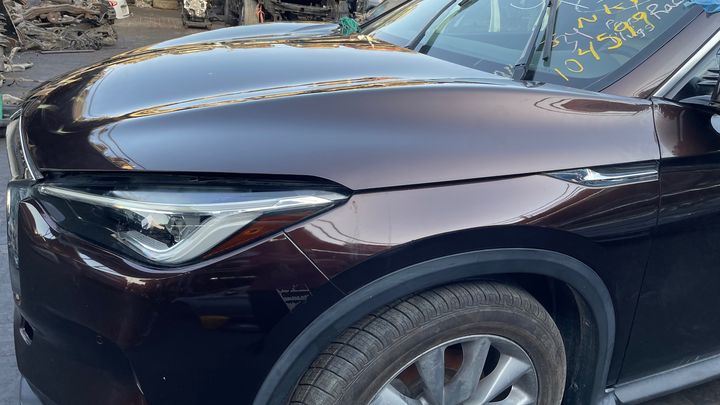 Hood/Bonnet - 2020 Infiniti QX50