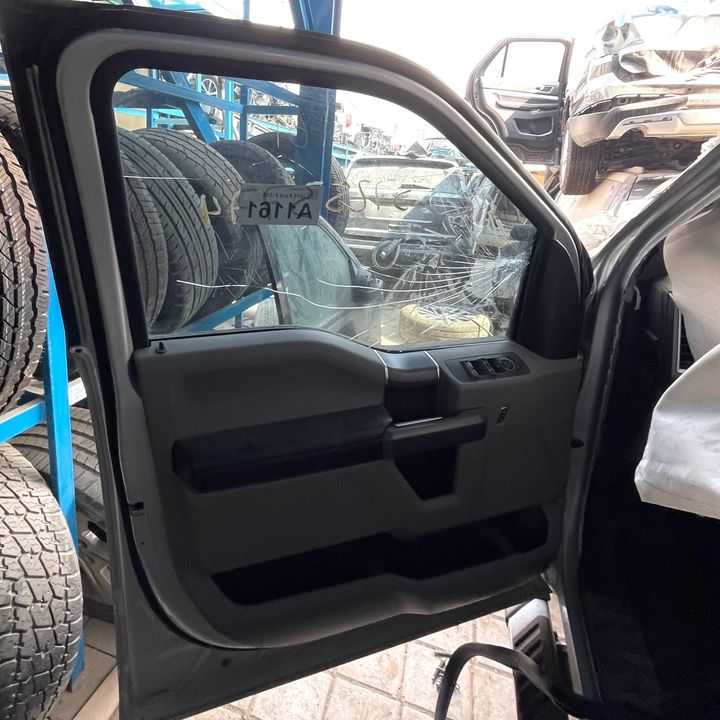 Door (LHF) - 2015 Ford F-150