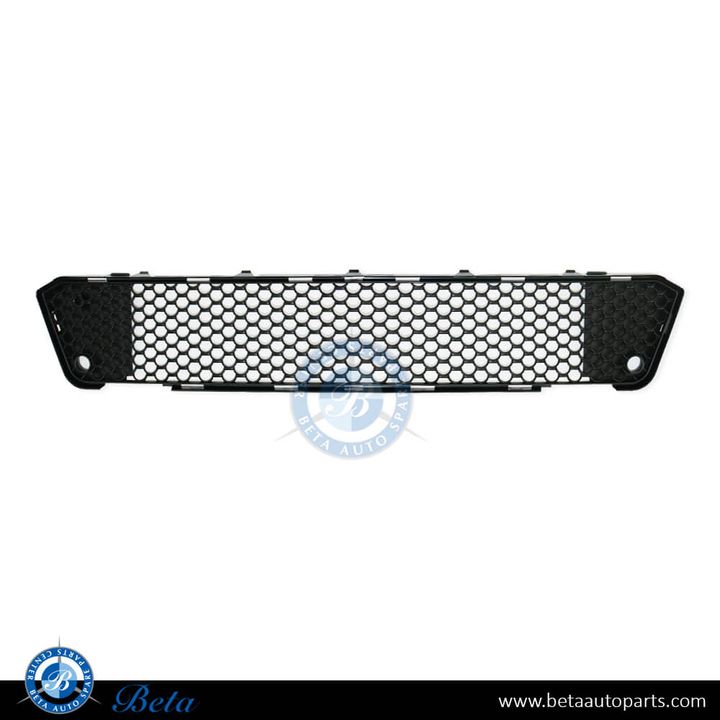 Mercedes S-Class W221 (2010-2013), Front Bumper Lower Grille AMG S63 (Center), Taiwan, 2218850953