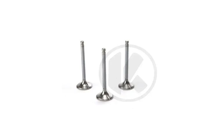 a1320530001   intake valve