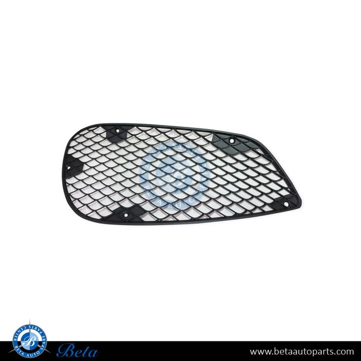 Mercedes E-Class W212 (2014-2016), Fog Lamp Outer Cover Normal AMG (Left), China, 2128850224