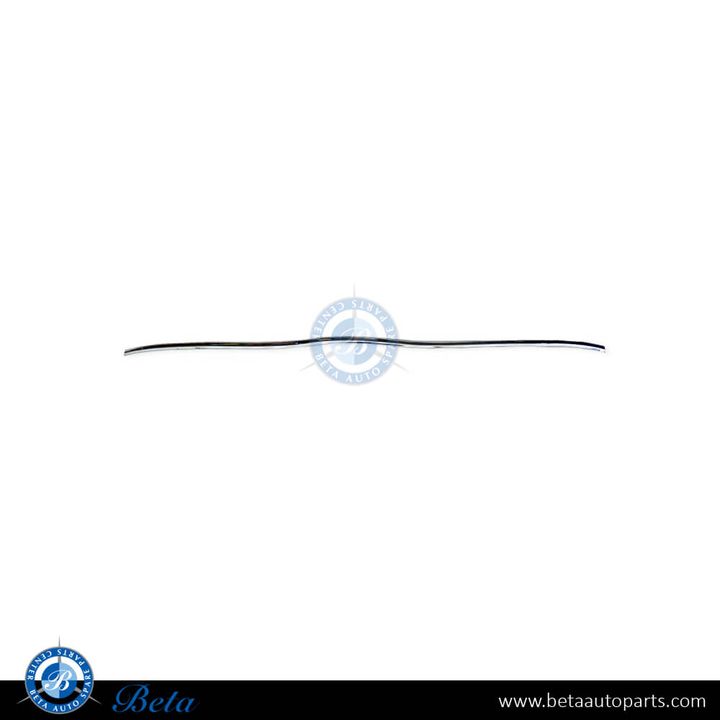 Mercedes S-Class W220 (1999-2005), Rear Bumper Moulding - Chrome (Center), Taiwan, 2208850074