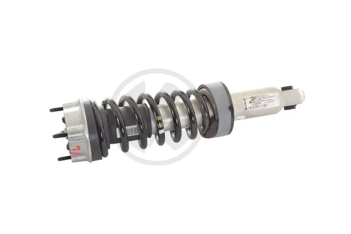 a1903201113   shock absorber