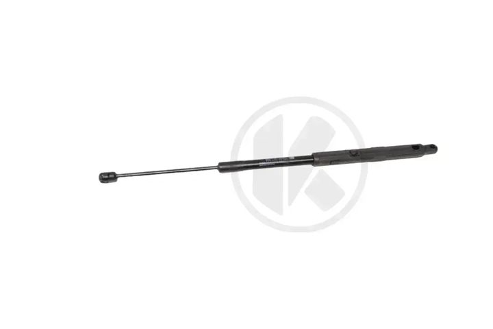PNEUMATIC SPRING
