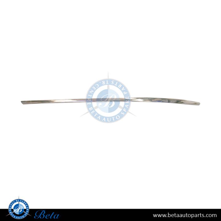 Mercedes E-Class Coupe C207 (2010-2013), Front Bumper Lower Moulding - Chrome (Left), China, 2078851921