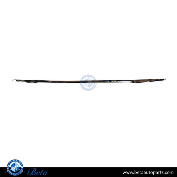 BMW 5 Series G30 LCI (2021-2023), Rear Bumper Moulding - Luxury (Center), China, 51129464229