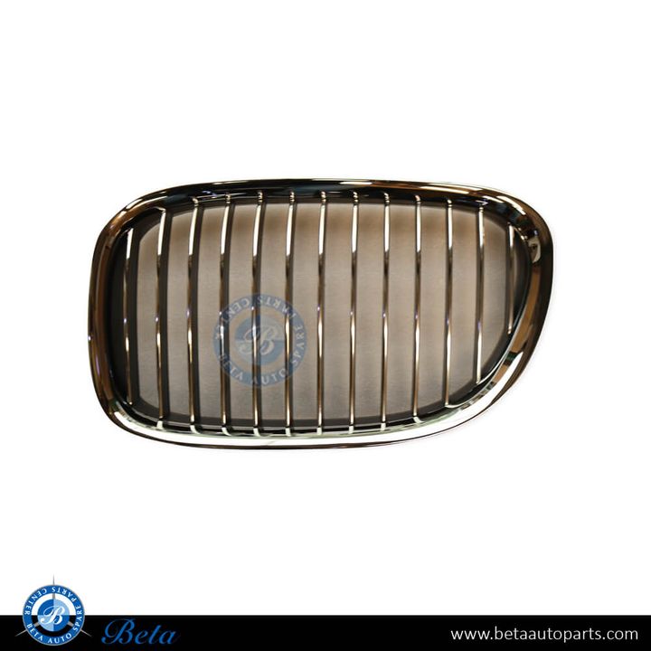 BMW 7 Series F01 / F02 (2009-2012), Radiator Grille (Left), China, 51117184151