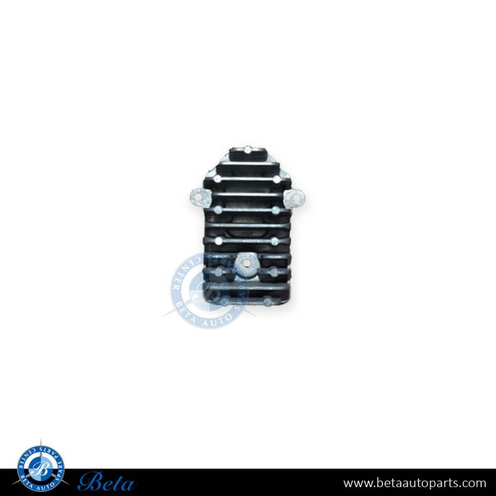 Mercedes C-Class W205 (2015-2018), LED Control Unit for Angel Eyes, China, 2059060601