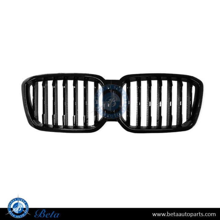 BMW X3 G01 LCI (2022-2023), Radiator Grille M-Tek with Camera Hole (Black), China, 51135A1AC56