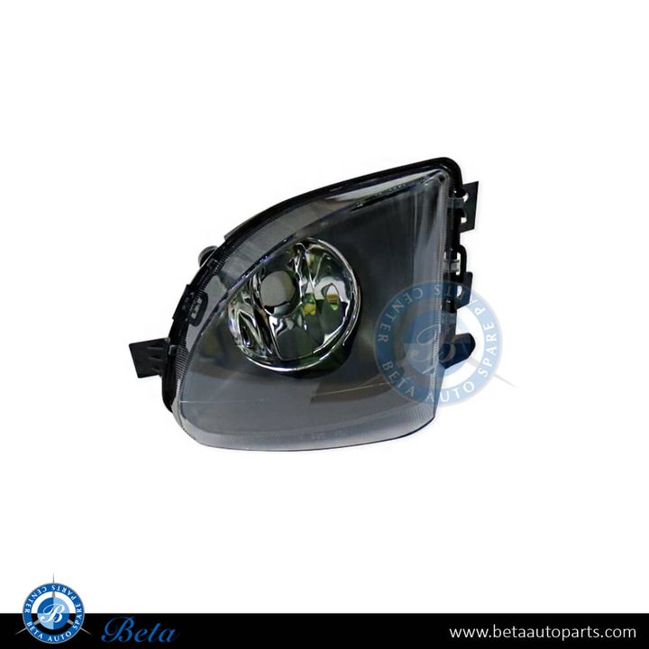 BMW 5 Series F10 (2010-2013), Fog Lamp (Left), China, 63177216885