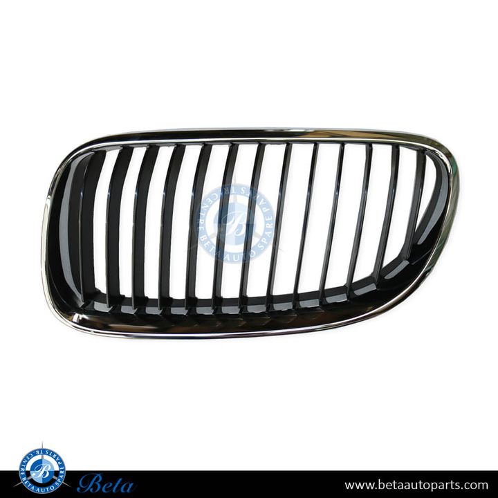 BMW 3 Series E92 LCI (2009-2011), Radiator Grille - Black and Chrome (Left), Taiwan, 51137254969