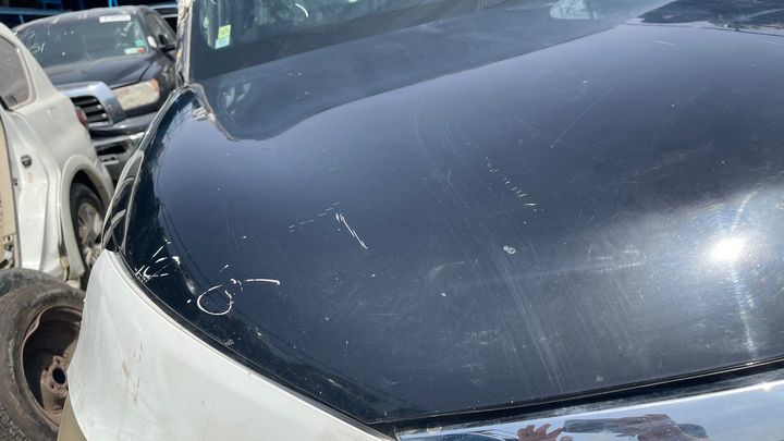 Hood/Bonnet - 2013 Infiniti QX56