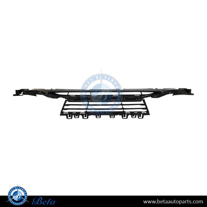 BMW 3 Series F30 LCI (2016-2018), Front Bumper Lower Grille (Center), China, 51117386152