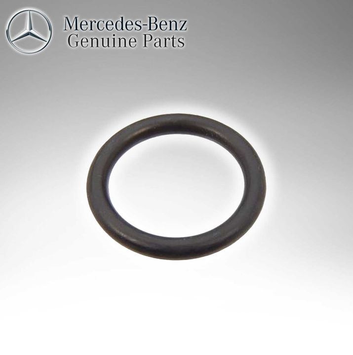 Mercedes Benz Genuine Fuel Filter O Ring 6019970148