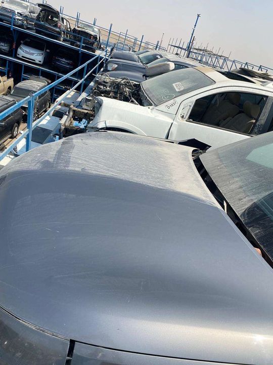Hood/Bonnet - 2011 Infiniti QX56