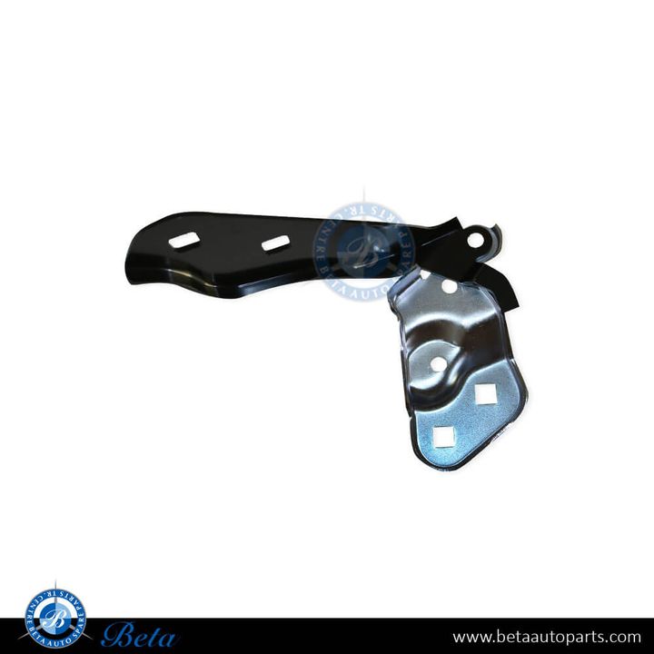 Tesla Model 3 (2017-2020), Hood Hinge (Right), China, 1098793-00-D