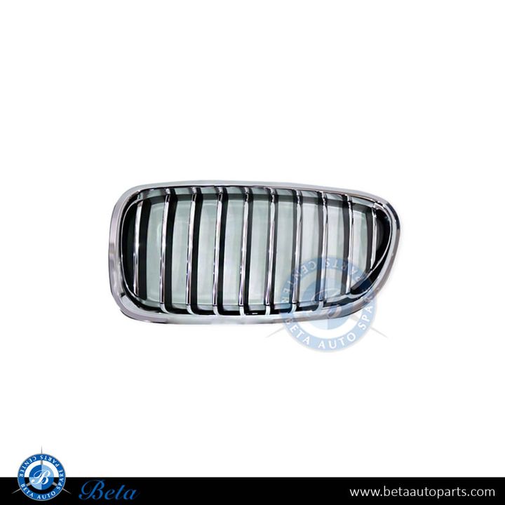BMW 5 Series F10 LCI (2014-2016), Radiator Grille (Left), China, 51137336477
