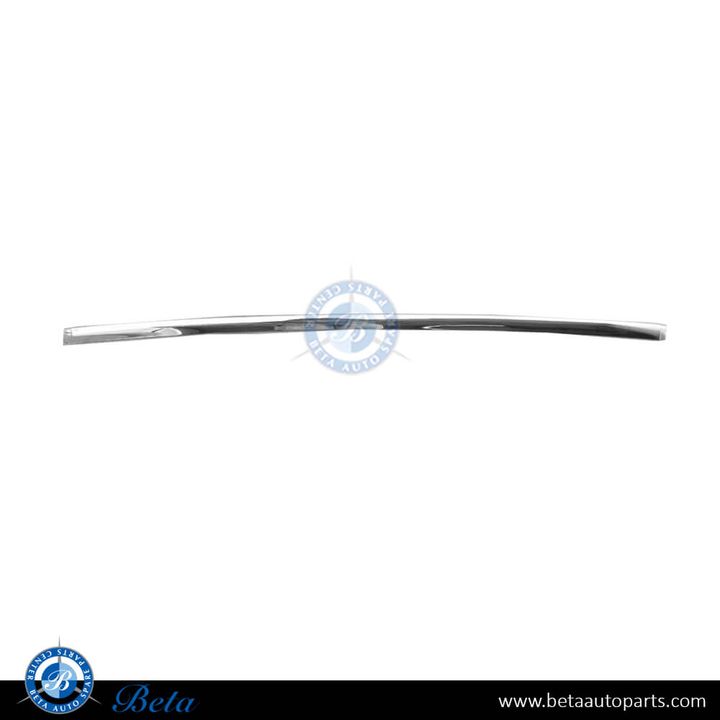 Mercedes C-Class W202 (1997-2000), Rear Bumper Moulding (Center), Taiwan, 2028851674