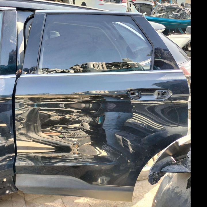 Door (LHB) - 2015 Ford Edge