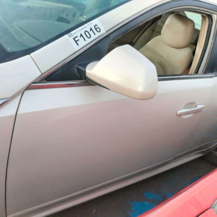 Door (LHF) - 2013 Cadillac CTS