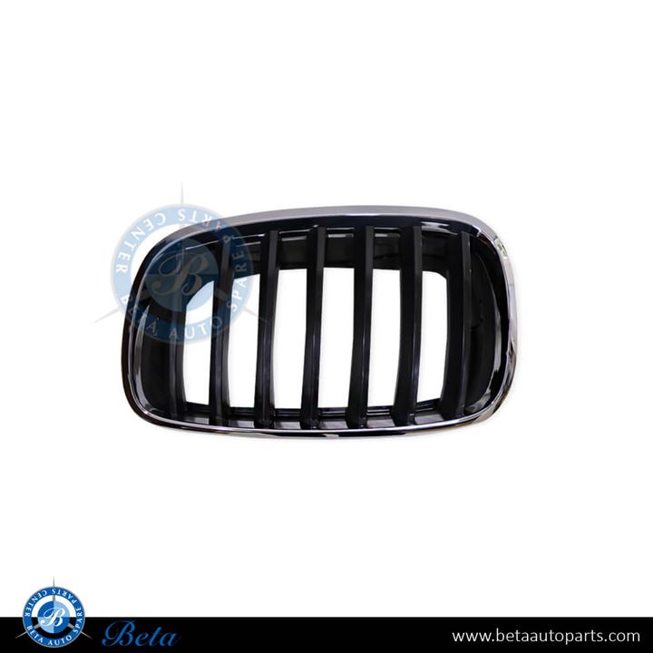 BMW X5 / X6 E70 / E71 (2007-2014), Radiator Grille - Black (Left), China, 51137157687 / 51137305589