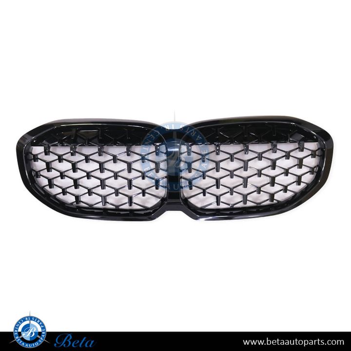 BMW 1 Series F40 (2020-2024), Radiator Grille (Gloss Black), China, 51135A39368