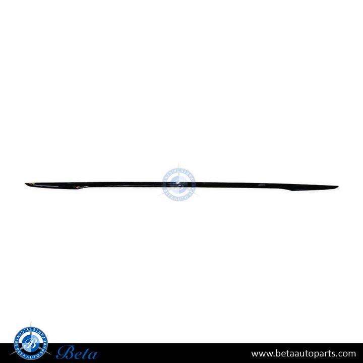 BMW 5 Series G30 LCI (2021-2023), Rear Bumper Moulding - Basis (Center), China, 51129464222