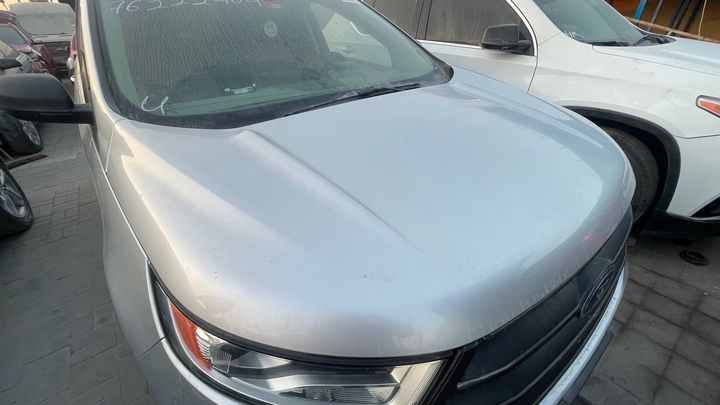 Hood/Bonnet - 2016 Ford Edge SE