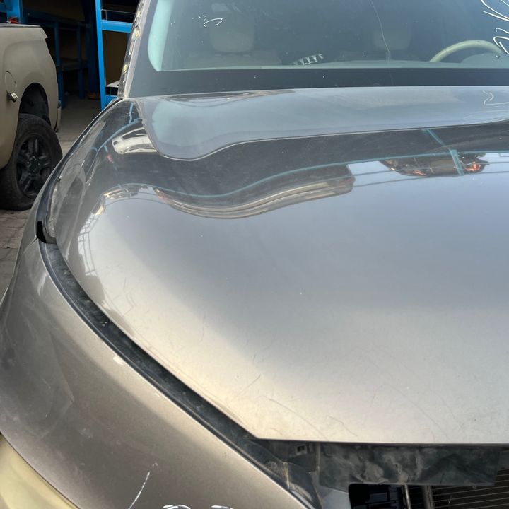Hood/Bonnet - 2014 Infiniti QX80 SUV