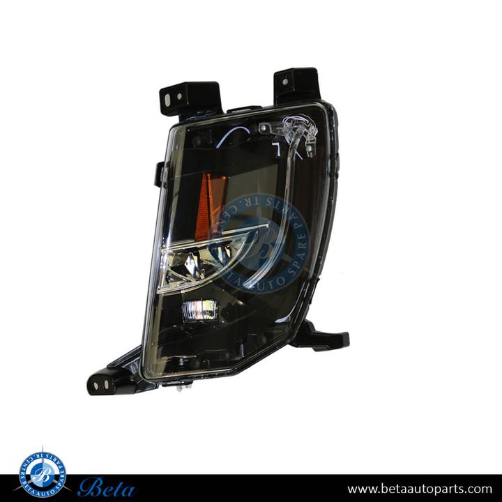Tesla Model S (2016-2021), Fog Lamp - USA type High (Left), China, 6005913-00-I / 6005916-00-E