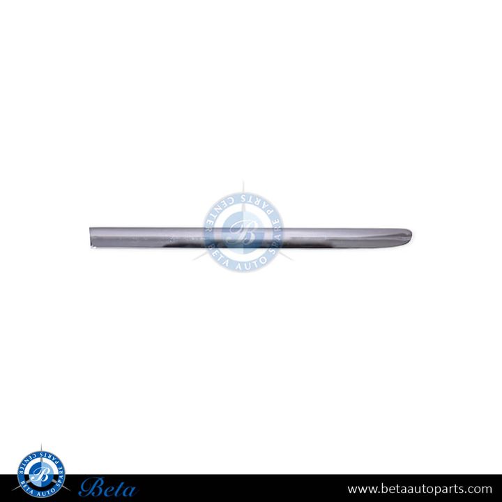 Mercedes S-Class W221 (2006-2013), Fender Moulding - Chrome (Left), China, 2216903980