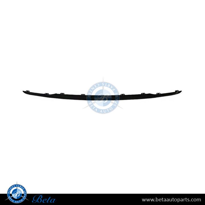 BMW 1 Series F20 / F21 LCI (2015-2019), Rear Bumper Moulding - Sport (Center), Taiwan, 51127371758