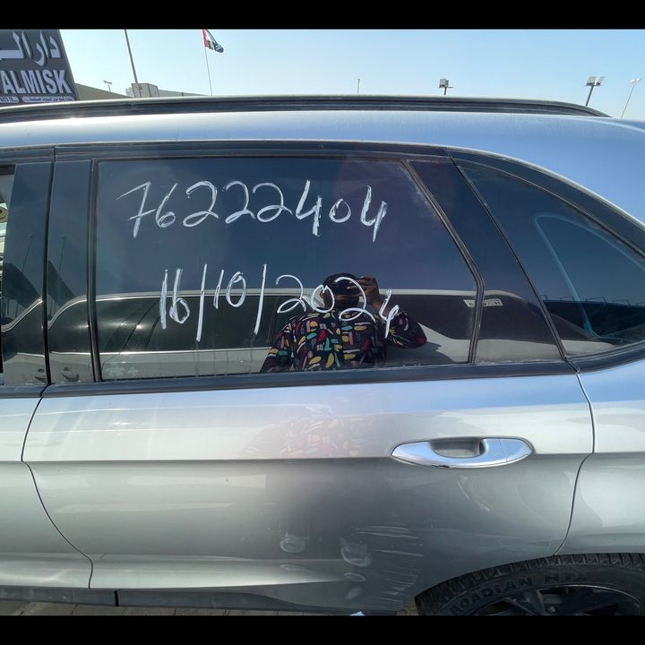 Door (LHB) - 2016 Ford Edge SE