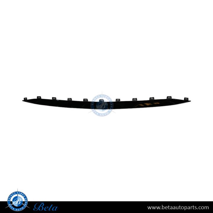 Mercedes GLE-Class W167 / C167 (2019-2023), Front Bumper Lower Moulding Normal AMG - Black (Center), China, 1678857003