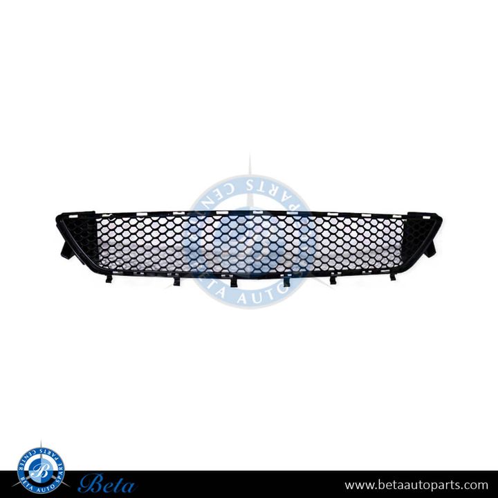 Mercedes E-Class Coupe C207 (2010-2013), Front Bumper Lower Grille AMG (Center), Taiwan, 2078800085