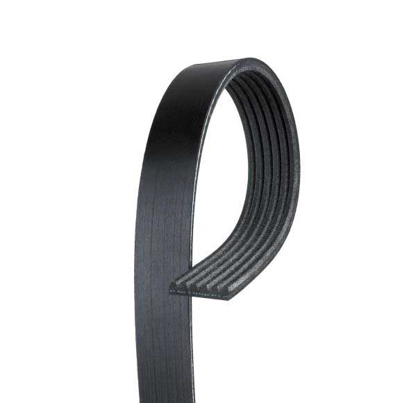 Autostar Germany V-RIBBED BELT T2R16360 For Jaguar 6PK2457
