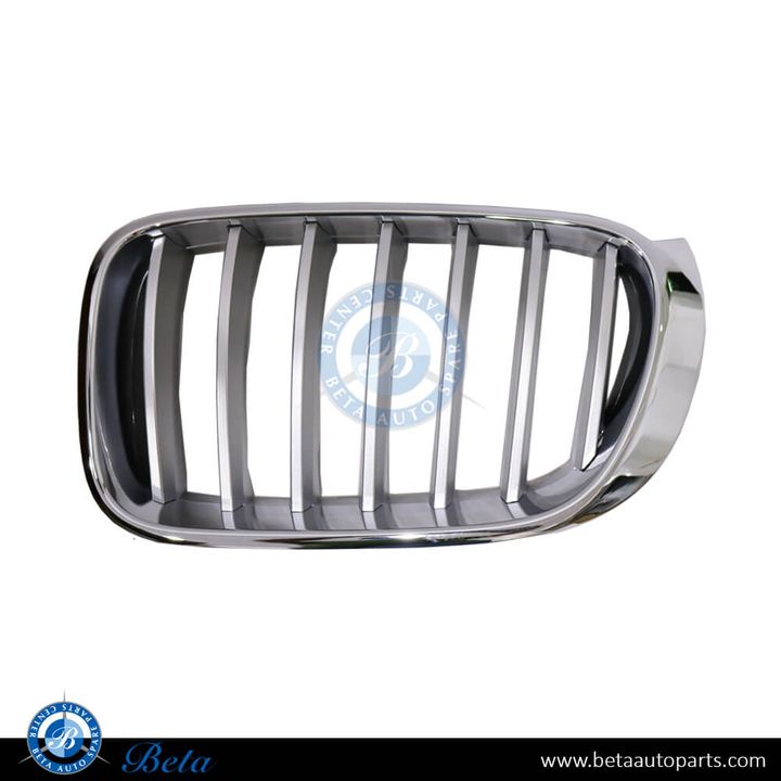 BMW X3 / X4 F25 / F26 (2014-2018), Radiator Grille - X-Line (Left), China, 51137367421