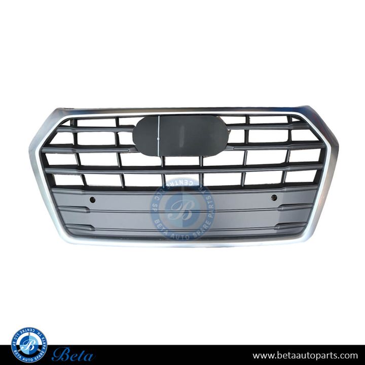 Audi Q5 Standard / S-Line (2018-2020), Radiator Grille (Gray and Silver), China, 80A853651JRP5