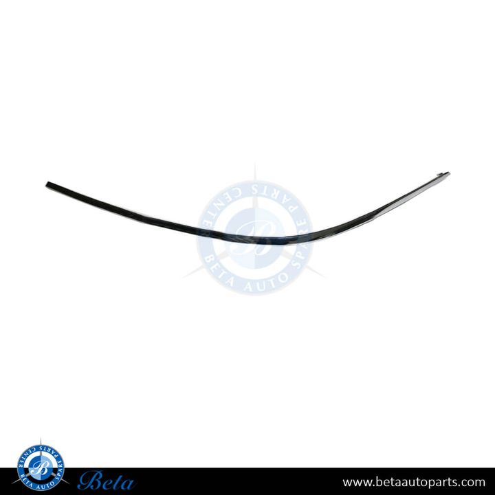 Mercedes S-Class W221 (2010-2013), Front Bumper Moulding - Chrome (Left), China, 2218850121