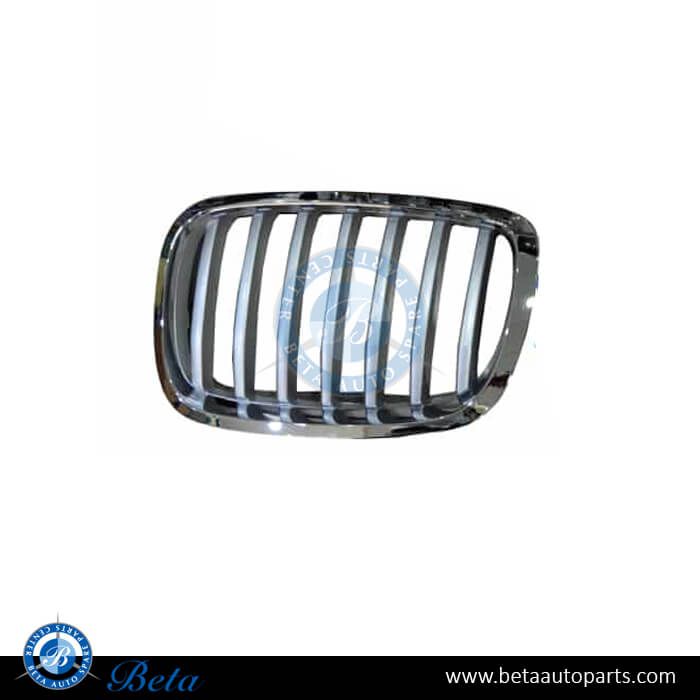 BMW X6 E71 LCI (2013-2014), Radiator Grille - Titan (Left), China, 51137307599
