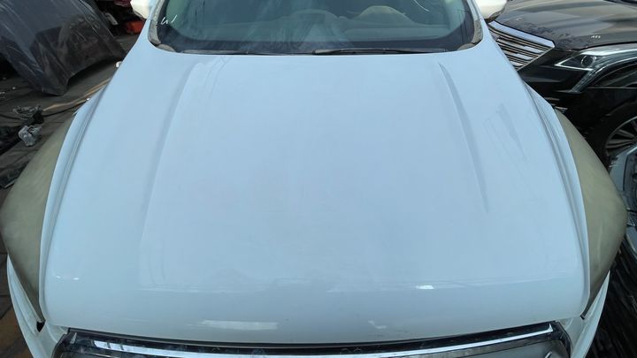 Hood/Bonnet - 2019 Ford Escape