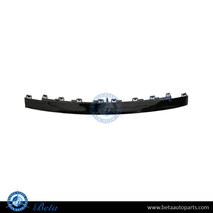 BMW 4 Series F32 / F36 (2014-2017), Front Bumper Moulding - Sport (Center), China, 51117294837
