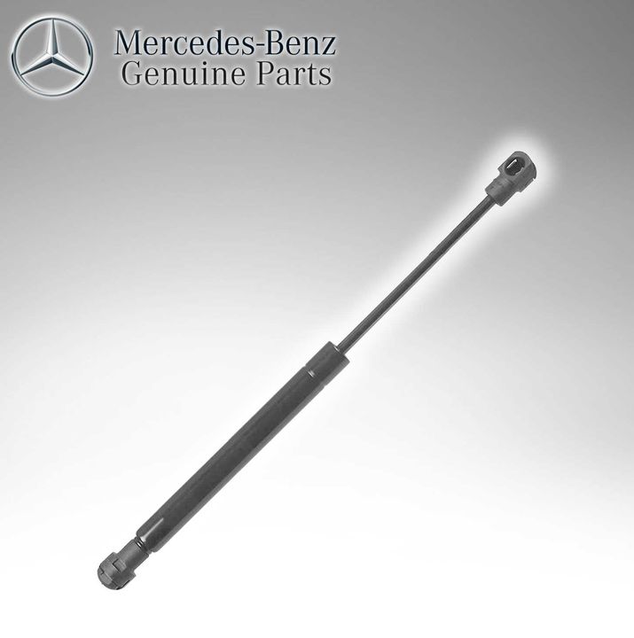 Mercedes Benz Genuine Pneumatic Spring Bonnet Shock 2096900059