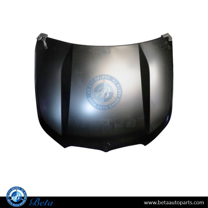 BMW X1 U11 (2023-Up), Hood, China, 41009629102