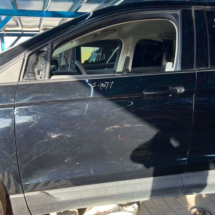 Door (LHF) - 2016 Ford Edge