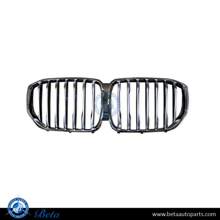 BMW X5 G05 (2019-2023), Radiator Grille with Camera Hole, China, 51137454889