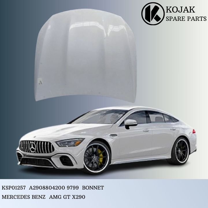 Bonnet for Mercedes-Benz AMG GT X290