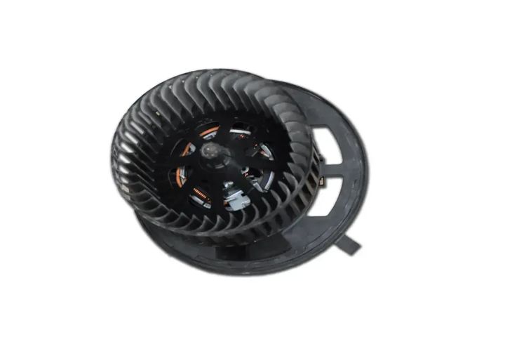 FAN MOTOR