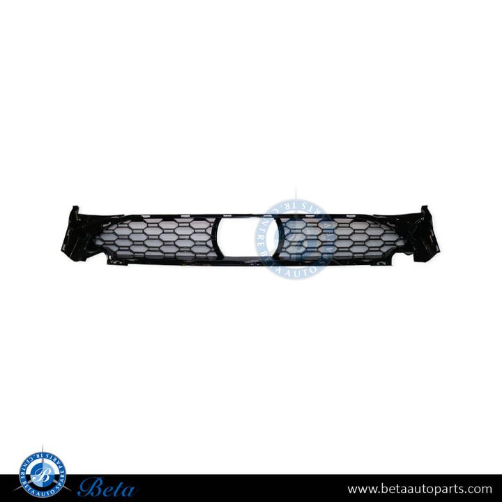 BMW X3 / X4 G01 / G02 (2018-2021), Front Bumper Lower Grille M-Tek with ACC (Center), China, 51118064600